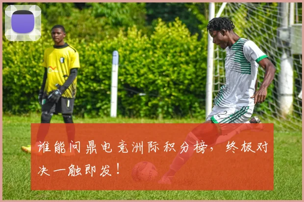 谁能问鼎电竞洲际积分榜,终极对决一触即发!